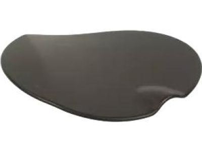 Ford CN1Z-74405A26-A Fuel Door