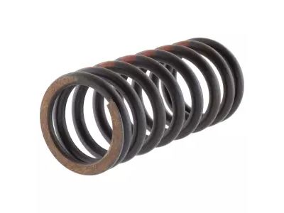 Ford CA6Z-6513-A Valve Springs
