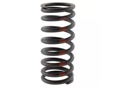 Ford CA6Z-6513-A Valve Springs
