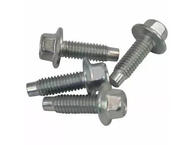 Ford -W500213-S309 Screw