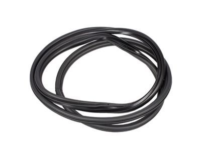 Ford 8A8Z-74253A10-A Weatherstrip On Body