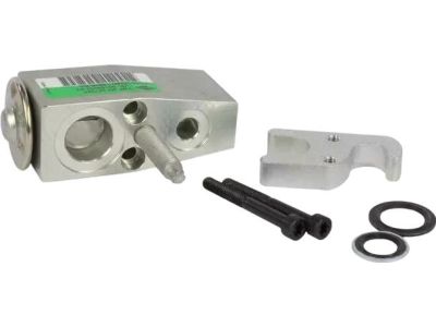 Ford DV6Z-19849-E Expansion Valve