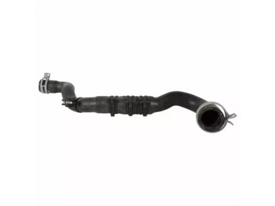 Ford DJ5Z-8597-B Outlet Hose