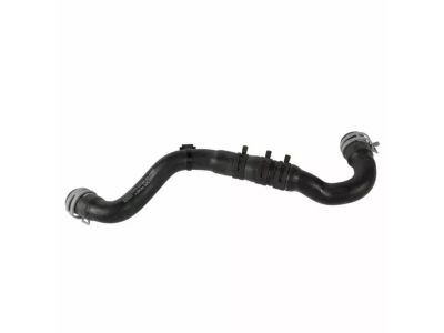 Ford DJ5Z-8597-B Outlet Hose