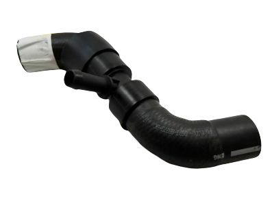 Ford DG9Z-8286-B Lower Hose