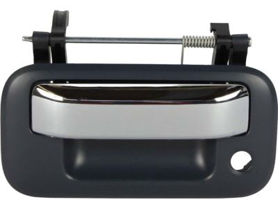 Ford 8L3Z-9943400-DAPTM Handle