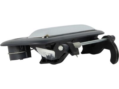Ford 8L3Z-9943400-DAPTM Handle