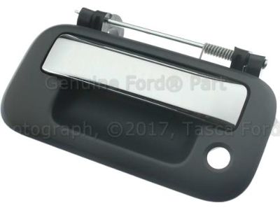 Ford 8L3Z-9943400-DAPTM Handle
