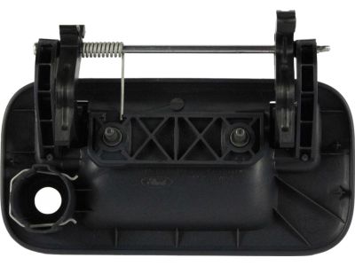 Ford 8L3Z-9943400-DAPTM Handle