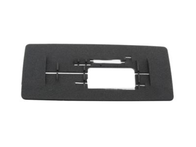 Ford DG1Z-5442624-AA Sill Trim Cap
