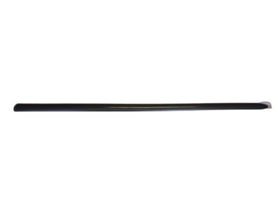 Ford 2F1Z-5420938-PTM Body Side Molding