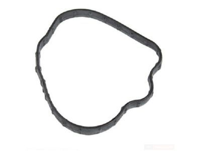 Ford CB5Z-9276-A Gasket