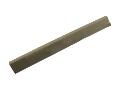 Ford CV6Z-5413209-AA Front Sill Plate