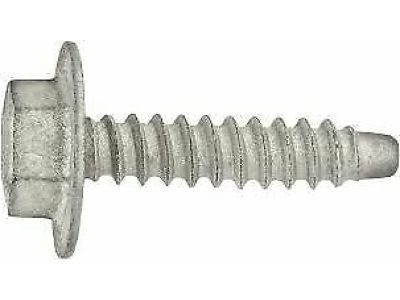 Ford -W704875-S439 Module Screw