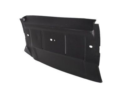 Ford 3W1Z-8327-AA Deflector Shield