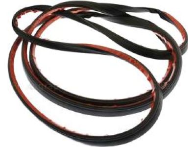 Ford 7T4Z-7851884-A Front Weatherstrip