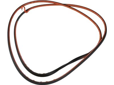 Ford 7T4Z-7851884-A Front Weatherstrip