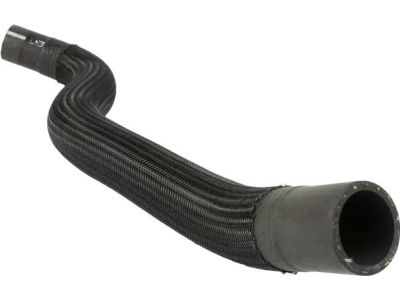 Ford FR3Z-8286-B Lower Hose