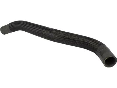 Ford FR3Z-8286-B Lower Hose
