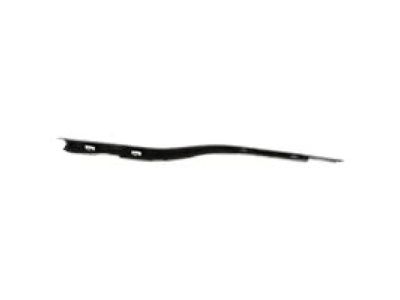 Ford FL3Z-1521452-D Belt Molding