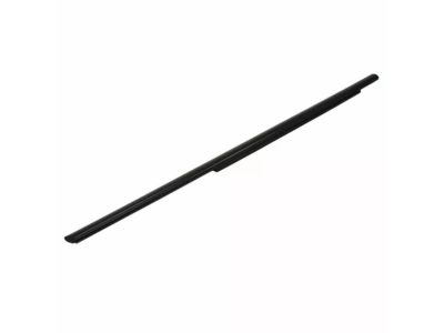 Ford CT4Z-7825597-A Belt Weatherstrip