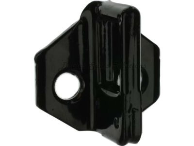 Ford F81Z-28265A45-AA Striker