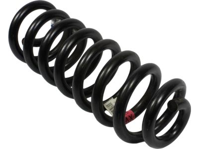 Ford 9C2Z-5310-X Coil Spring