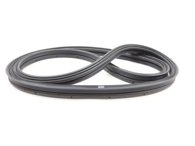 Ford AA5Z-5443720-A Weatherstrip