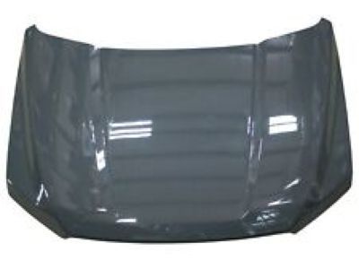 Ford FL3Z-16612-A Hood