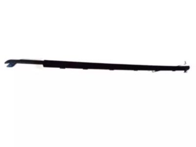 Ford FR3Z-6321452-A Weatherstrip Assembly - Door Window