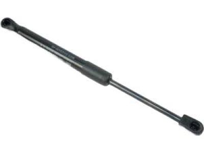 Ford 6N7Z-54406A10-A Strut Cylinder