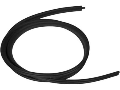 Ford 2T1Z-5820708-A Weatherstrip On Body