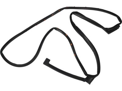 Ford AG1Z-5425325-A Door Weatherstrip
