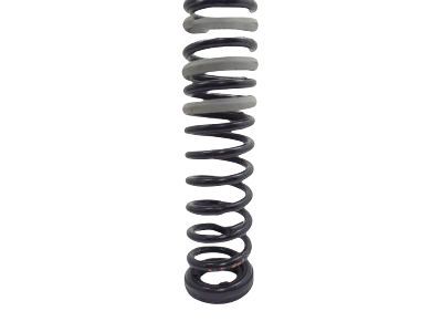 Ford CV6Z-5560-E Coil Spring