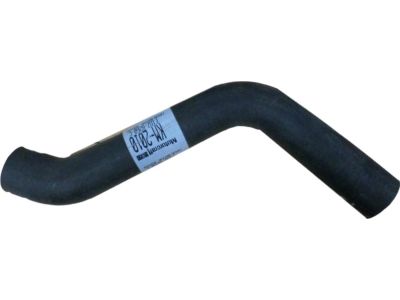 Ford F1DZ8260C Upper Hose