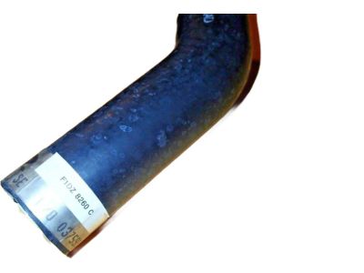 Ford F1DZ8260C Upper Hose