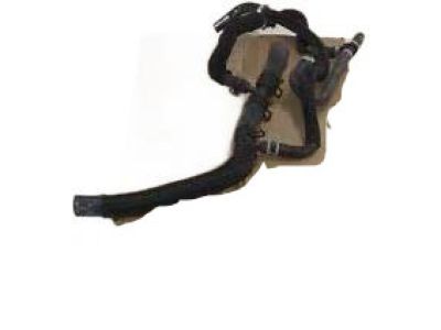 Ford 1L5Z-8075-AD Overflow Hose