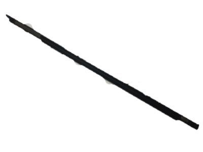 Ford AG1Z-5421453-A Belt Weatherstrip