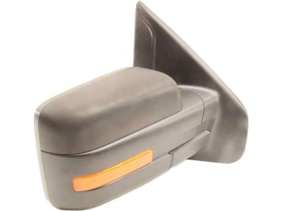Ford BL3Z-17682-HAPTM Mirror Outside