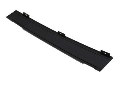 Ford 3W1Z-5420555-AAA Window Molding