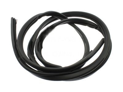 Ford 3C2Z-15253A10-AA Body Weatherstrip