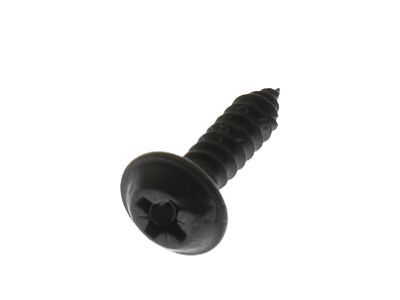 Ford -W505003-S424 Sunvisor Screw