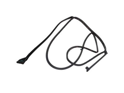 Ford BB5Z-7825325-A Door Weatherstrip