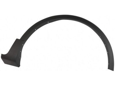 Ford EJ7Z-16268-AA Wheel Opening Molding