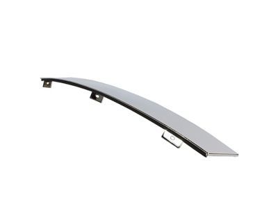 Ford 4W1Z-5420554-AAA Window Molding