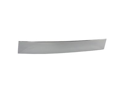 Ford 4W1Z-5420554-AAA Window Molding