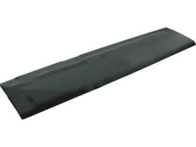 Ford 4L1Z-7820879-AAA Body Side Molding