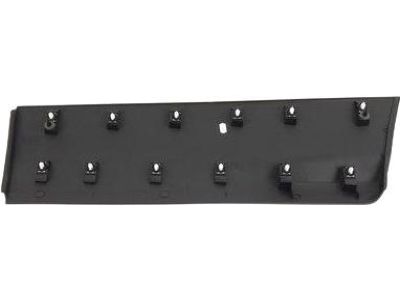 Ford CJ5Z-7825556-AB Moulding - Door Outside