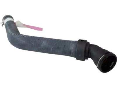 Ford 7L1Z-8075-A Overflow Hose