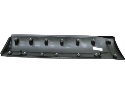 Ford AE9Z-7425557-AA Side Molding